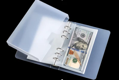 100 Pockets Dollar Bill Holders with Storage Album SleevesProtector Bag for Bill - Image 1 of 4