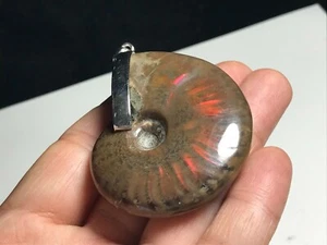 Natural Iridescent Ammonite Specimen Fossil Silver925 Pendant K081519-K - Imagen 1 de 7
