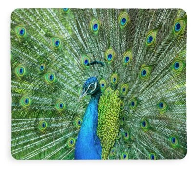 Manta Sherpa Pavo Real Foto 1 de 3