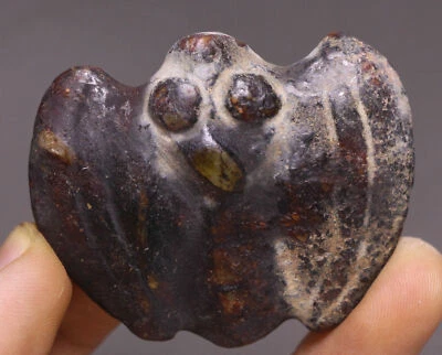 Colgante amuleto de murciélago Fengshui tallado jade antiguo cultura Hongshan único de China de 5 cm Foto 1 de 4