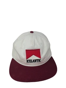 Icelantic Skis Cowboy Killer Snapback  Rare Baseball Embroided Hat - Picture 1 of 9