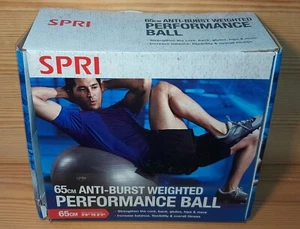 SPRI Performance Ball 65cm athletic workout equipment - Picture 1 of 7