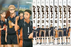 Juego de 9 volúmenes Haikyu Blu-Ray primera edición limitada con caja de almacenamiento completo - Imagen 1 de 1