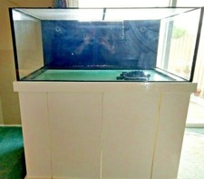 used fish tanks for sale