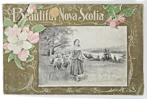 Libro Yarmouth Steamship Co 1896 "Hermosa Nueva Escocia" folleto antiguo de Canadá - Imagen 1 de 9