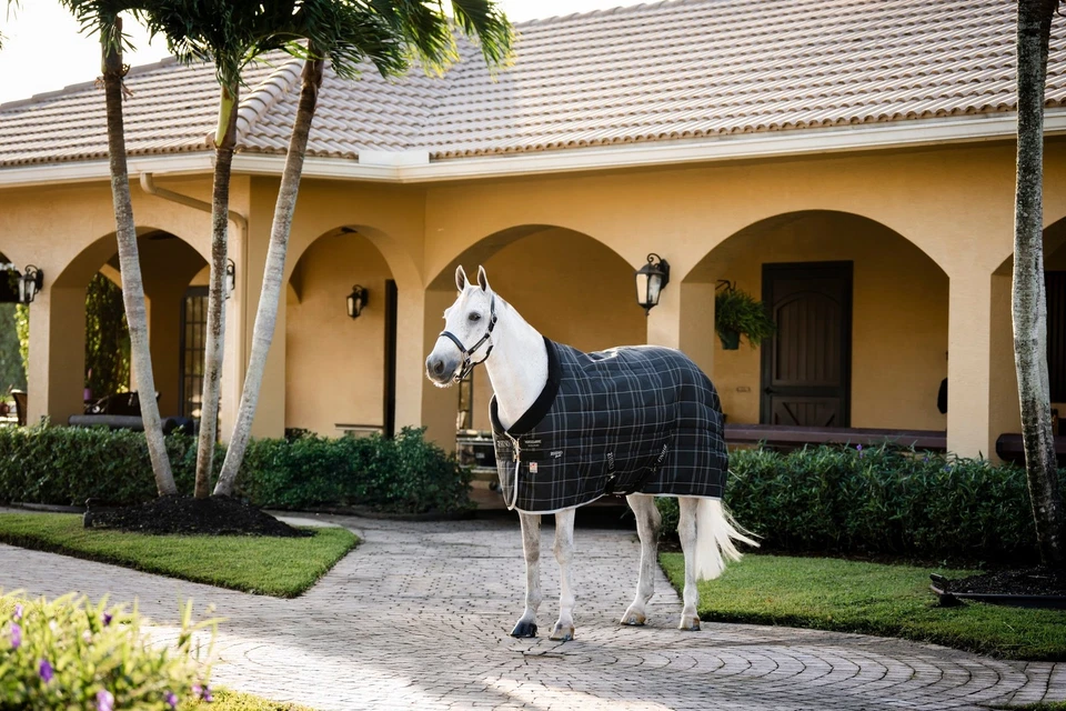 Rhino Stable Blanket (350g Vari-Layer Heavy) - Image 1 of 1