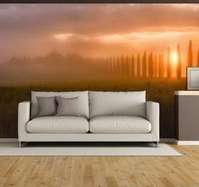 Living room WALLPAPER wall mural 100x143in Tuscany sunrise orange morning - Image 1 of 4