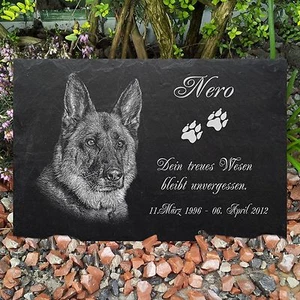 GRABSTEIN Tiergrabstein Gedenkstein Hunde Hund-020 ► Foto Gravur ◄ 20 x 15 cm - Bild 1 von 2