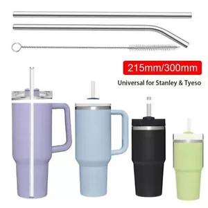 1Pcs Silver Cup Straw Replacement Straw for Stanley 30oz 40oz Tyeso Cup - Picture 1 of 18