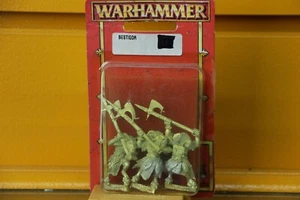 Warhammer  Bestigor - Picture 1 of 1