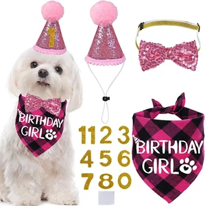 Dog Birthday Party Supplies, Multi Sizes Dog Birthday Hat with Numbers Bandana B - Picture 1 of 7