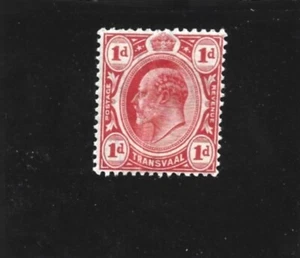 Transvaal 1902 Edward VII 1d Red Single Mint Hinged - Bild 1 von 2