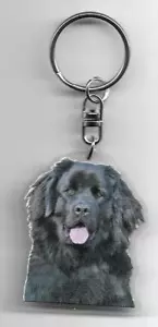 NEWFOUNDLAND CHIEN DOOR CLES / NEWFOUNDLAND DOG'S K.FOB - Picture 1 of 2