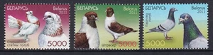 Belarus 2011 Birds, Doves, Pigeons 3 MNH stamps - Picture 1 of 1