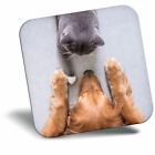 Awesome Fridge Magnet - Labrador and British Grey Cat Cool Gift #21418
