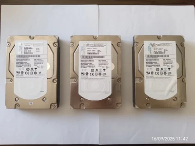 N° 3 HD SERVER NAS IBM 450GB MODEL ST3450856SS 9CL066-039 ST3450857SS 9FM066-039 - Immagine 1 di 4