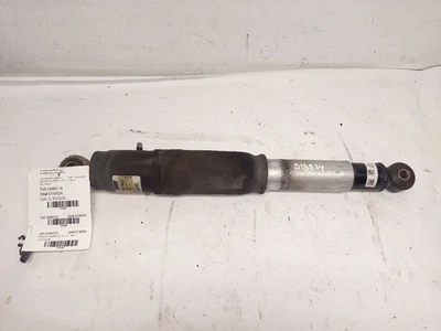 Rear Shock Absorber from 2016 Cadillac Escalade 12183299 - Image 1 of 4