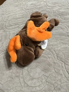 TY Beanie Baby Chocolate the Moose - Picture 1 of 2