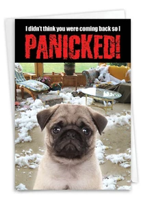 1 Funny Birthday Card with Envelope - Dog Panicked C2233BDG - Picture 1 of 6