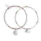ChloBo Rose and Silver Dusk To Dawn Set Of 2