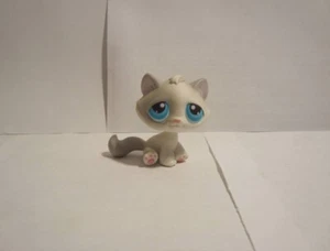 LITTLEST PET SHOP KÄTZCHEN KATZE # 53 GRAU GRAU WEISS ROSA Nase & blaue Augen - Bild 1 von 3