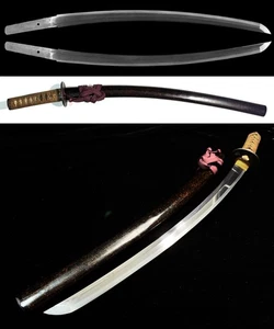 Antique Japanese Sword Made by SUKESADA 祐定 Edo NIHONTO Samurai Katana Koshirae - Picture 1 of 24