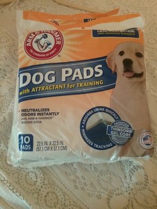 arm and hammer dog pads