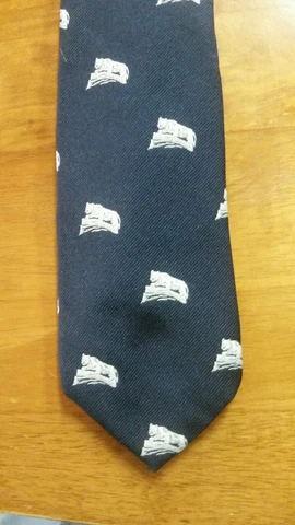 Penn State Nittany Lions Necktie Cover