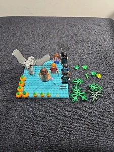 LEGO Harry Potter 75947 Hagrid's Hut Buckbeak's Rescue Minifigures & Pumpkins - Picture 1 of 18