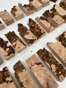 OREGON MAPLE BURL tool handle scales FOR RESIN STABILISING AND HYBRID CASTING - Picture 1 of 8