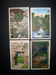 Virginia Postales Big Run Túnel Natural Backbone Rock Antiguo 1930-45 Lino #EW - Imagen 1 de 4