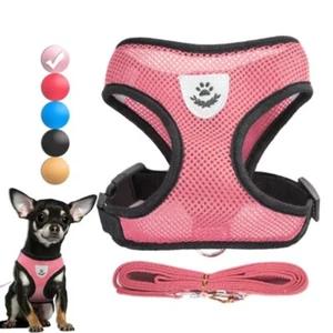Adjustable Dog Harness & Leash Set – Breathable Vest for Small Dogs & Cats - Picture 1 of 5