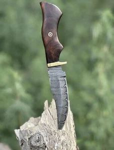 10" TACTICAL SURVIVAL HUNTING FIXED BLADE DAMASCUS KNIFE BOWIE SKINNING CAMPING - Picture 1 of 3