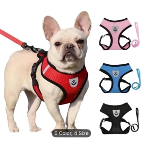 Imbracatura per Cani Regolabile No Pull con Manico - Gilet di Sicurezza Riflettente per Addestramento - Foto 1 di 10
