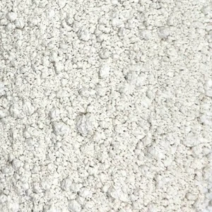 Diatomaceous Earth Food Grade BULK HERBS 4 oz. - Picture 1 of 2