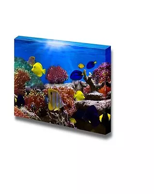 Canvas Wall Art - Coral Reef and Tropical Fish under the Ocean - 16" x 24" - Image 1 of 3