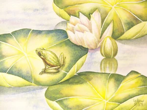 Pintura original de acuarela Frog on Lilly 1984 de Susan Lebow - Imagen 1 de 7