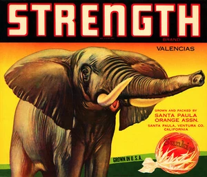 Vintage Decoration Design Quality Poster.Elephant.Room Bar art Decor.347 - Picture 1 of 1