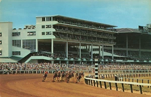 Postcard Oceanport, New Jersey: Monmouth Park Race Track Horses - Picture 1 of 3
