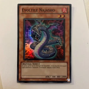Carte Yu-Gi-Oh! - Rare - Evoltile Najasho ORCS-FR083 - Zdjęcie 1 z 2