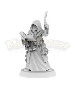 Guardia de los Archivos de Arborenis - Picture 1 of 4