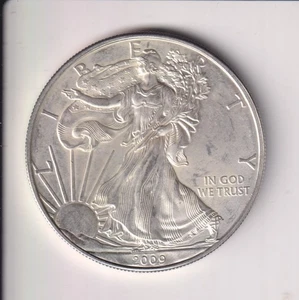 2009 AMERICAN SILVER EAGLE $1 DOLLAR 1 OZ .999 SILVER COIN UNITED STATE MINT - Picture 1 of 2