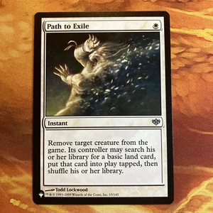 MTG Path to Exile Secret Lair Raining Cats & Dogs Near-Mint!! - Picture 1 of 2