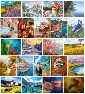 Wizardi 40cm x 50cm Pittura By Numbers Kit Con Tesa Tela Su Legno Cornice - Foto 1 di 200
