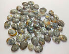 590 Crt 53 Pcs 15-20 Mm Natural Dendrite Opal Oval Cabochon Loose Gemstone Lot