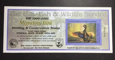 #RW67A 2000 - 2001 - Sello de pato federal de Estados Unidos - Oficina de correos FRESCO Foto 1 de 2