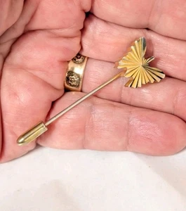 Pin de palo de mosca de colección 'corte diamante' brillante 2" unisex insecto volador ab1-91 - Imagen 1 de 6