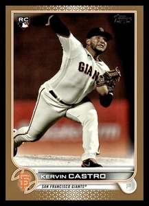 Novato Kervin Castro 2022 serie 2 oro/2022 - Imagen 1 de 2