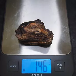 Árbol vegetal fósil checo madera petrificada árbol carbonífero superior 146gr - Imagen 1 de 10