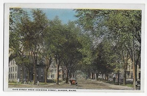 Bangor ME Maine Ohio Street from Hammond Vintage Postcard - Picture 1 of 2
